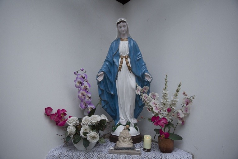 Dziękowali Matce Bożej w Śródborowie