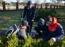 Sadzenie żonkilowych sadzonek z udziami ZS im. L. Bergerowej