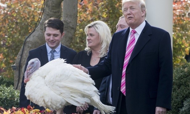 Prezydent Trump ułaskawił swojego pierwszego indyka