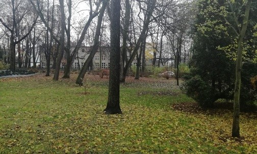 Przyroda zintegruje mieszkańców Chwałowic 