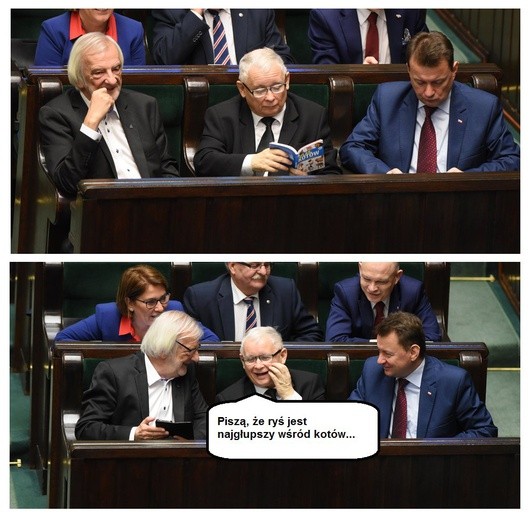 "Atlas Kotów" Kaczyńskiego w memach