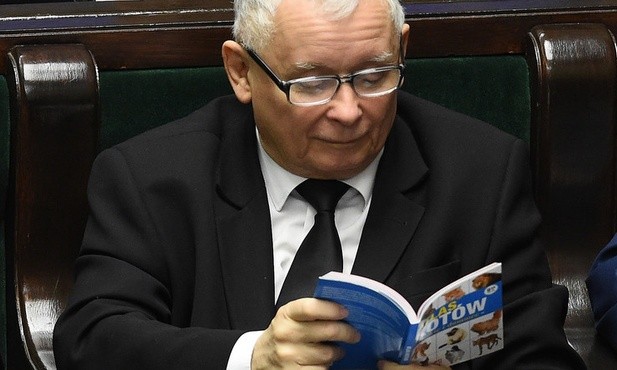  Słynny "Atlas kotów" z dedykacją Jarosława Kaczyńskiego sprzedany