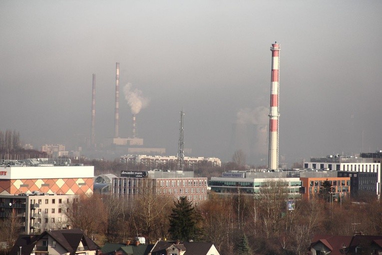 Obraz, zamieniający dwutlenek węgla w tlen