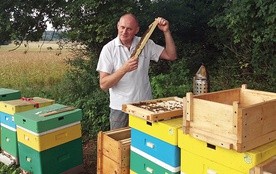 Piotr Oksanicz nieraz przekonał się o Bożej interwencji w ulu. Bo, jak stwierdza, pszczoły to wielki dar Boga dla człowieka.