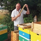 Piotr Oksanicz nieraz przekonał się o Bożej interwencji w ulu. Bo, jak stwierdza, pszczoły to wielki dar Boga dla człowieka.