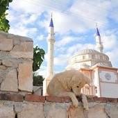 Mikołaj z Patary - święty, którego zna cały świat