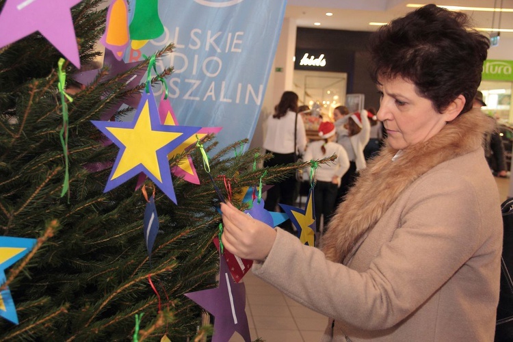 "Pusta choinka" w Koszalinie