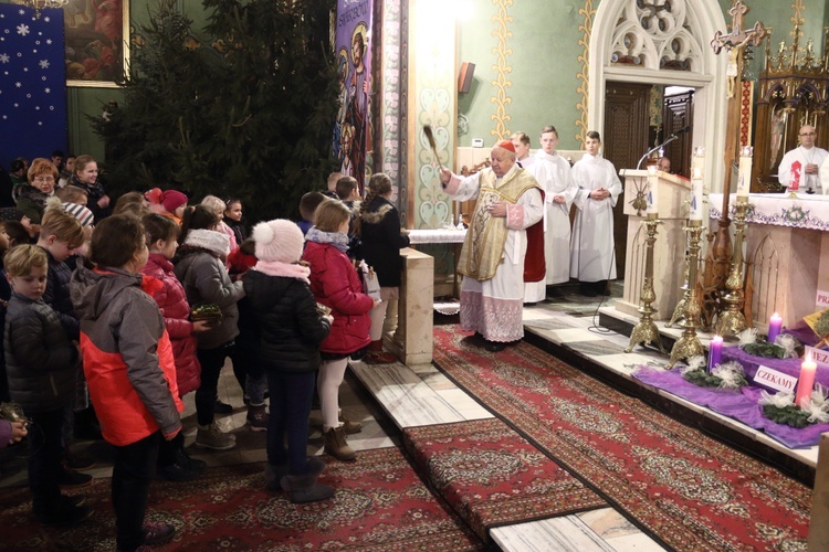 Papieska choinka w Libiążu 2017