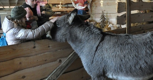 Pójdźmy wszyscy do stajenki