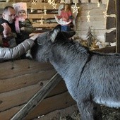 Pójdźmy wszyscy do stajenki