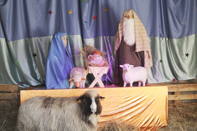 Jarmark Bożonarodzeniowy w Cięcinie - 2017