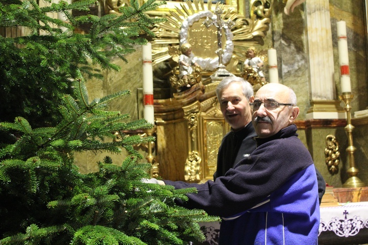 Budowa szopki w parafii św. Katarzyny w Kudowie-Zdroju 