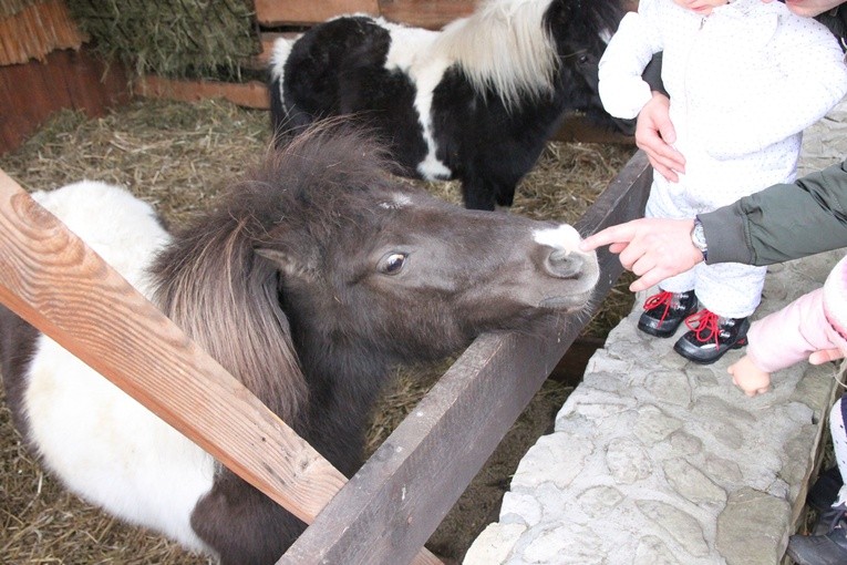 Betlejem z mieszkańcami zoo