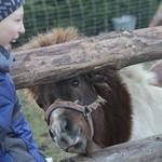 Żywa szopka w Błoniu