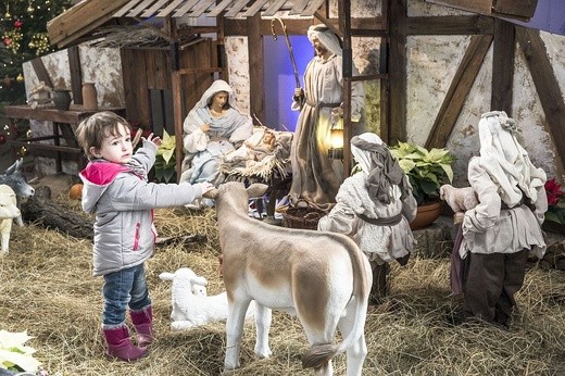 Jubileusze małżeńskie w Świątyni Opatrzności Bożej