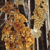 Jezus mówi: „Ja jestem krzewem winnym, wy latoroślami. Trwajcie we mnie, a owoc obfity będziecie przynosić” – wyjaśnia symbolikę bursztynowej winorośli ks. Ludwik Kowalski.