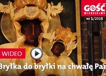 Zwiastun najnowszego „Gościa”