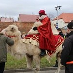 Orszak Trzech Króli w Wołowie