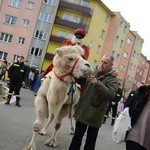 Orszak Trzech Króli w Wołowie