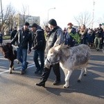 Orszak Trzech Króli w Starachowicach