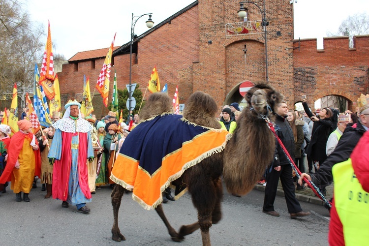 Orszak Trzech Króli w Oleśnicy