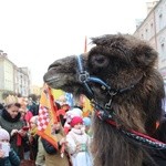 Orszak Trzech Króli w Oleśnicy