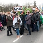 Orszak Trzech Króli w Brzegu Dolnym