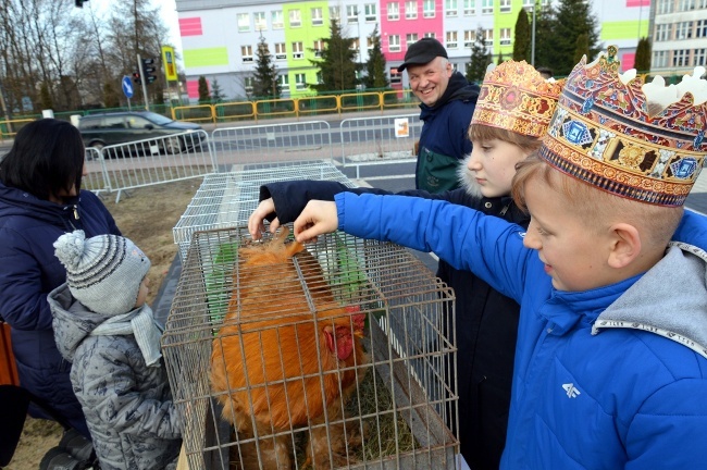 Orszak Trzech Króli w Stąporkowie