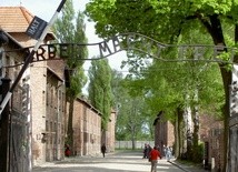 Odpowiedzą za znieważenie Auschwitz?