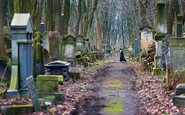 Nad nekropolią górują kilkudziesięcioletnie drzewa. Tworzą niepowtarzalny klimat, ale zagrażają bezpieczeństwu odwiedzających oraz samym nagrobkom.