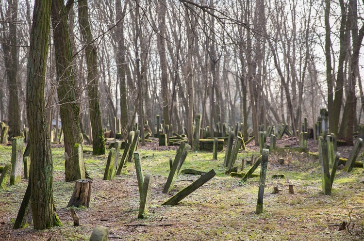 Cmentarz żydowski na Woli