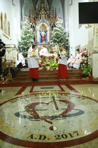 Poświęcenie organów w Lubczy