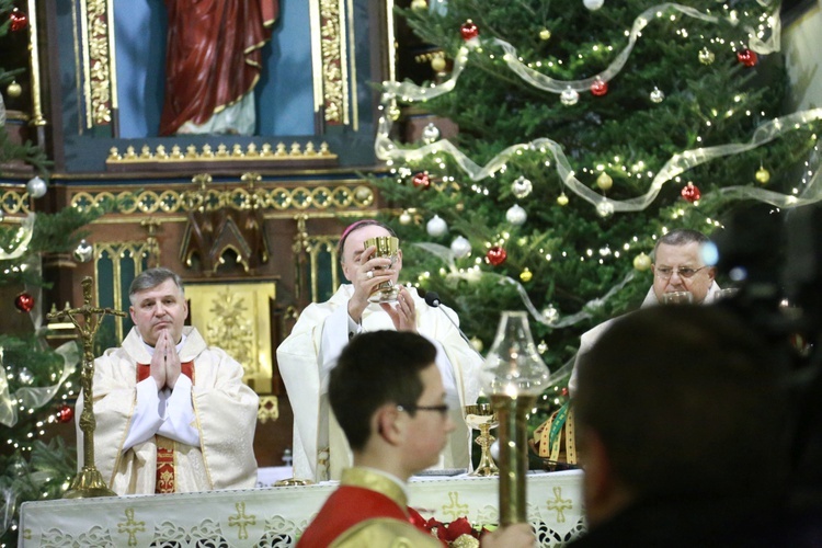 Poświęcenie organów w Lubczy