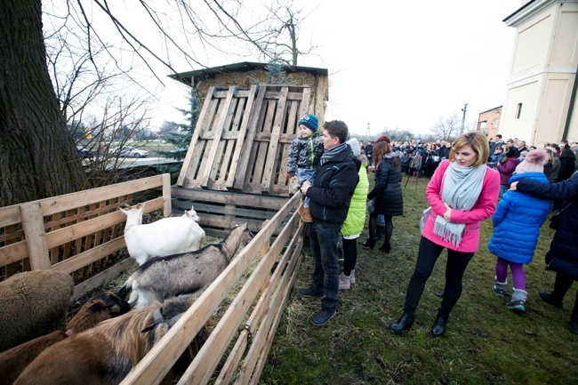 Jasełka w Lisowie koło Radomia