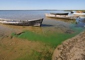 Zostawili swoje łodzie i poszli za Nim