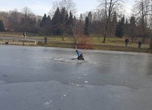 Pokaz ratownictwa na lodzie w Parku Śląskim 