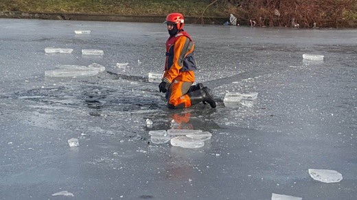 Pokaz ratownictwa na lodzie w Parku Śląskim 