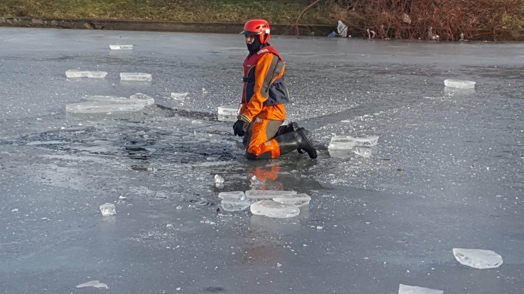 Pokaz ratownictwa na lodzie w Parku Śląskim 