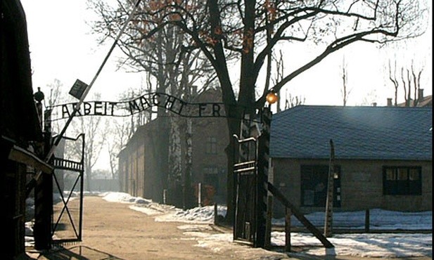 Morawiecki: Arbeit Macht Frei to nie jest polskie zdanie