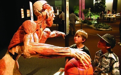 Bioetyk o wystawie "Body Worlds Vital"