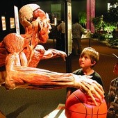 Bioetyk o wystawie "Body Worlds Vital"