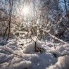 IMGW: Napływa chłodna masa powietrza