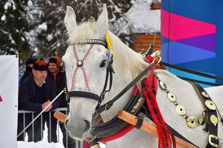 Góralskie wyścigi na śniegu