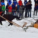 Góralskie wyścigi na śniegu