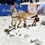 Góralskie wyścigi na śniegu