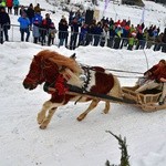 Góralskie wyścigi na śniegu