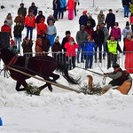 Góralskie wyścigi na śniegu