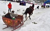 Góralskie wyścigi na śniegu