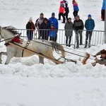 Góralskie wyścigi na śniegu