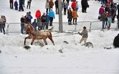 Góralskie wyścigi na śniegu